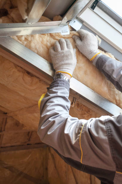 Best Insulation Replacement Services  in Ridgway, CO