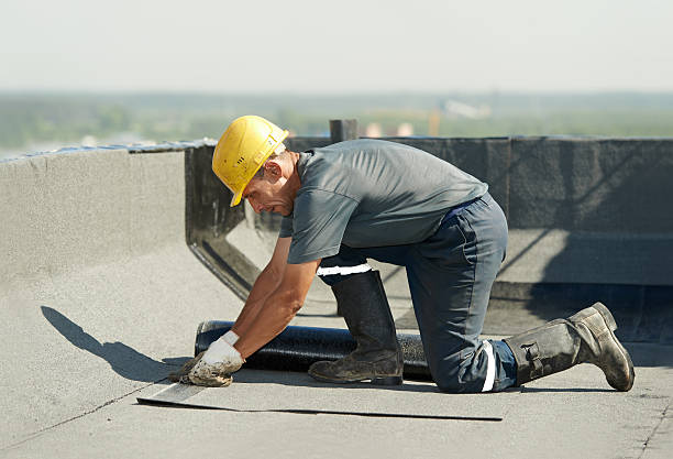 Best Insulation Removal  in Ridgway, CO