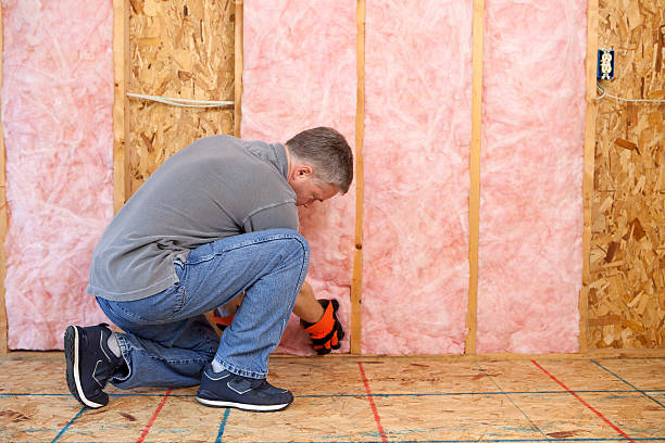 Insulation Inspection Services in Ridgway, CO