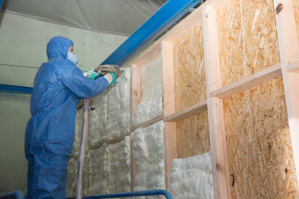 Best Fiberglass Insulation  in Ridgway, CO