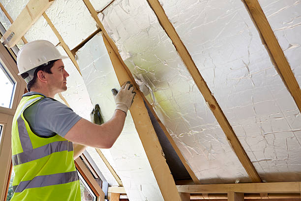 Best Insulation Repair Services  in Ridgway, CO